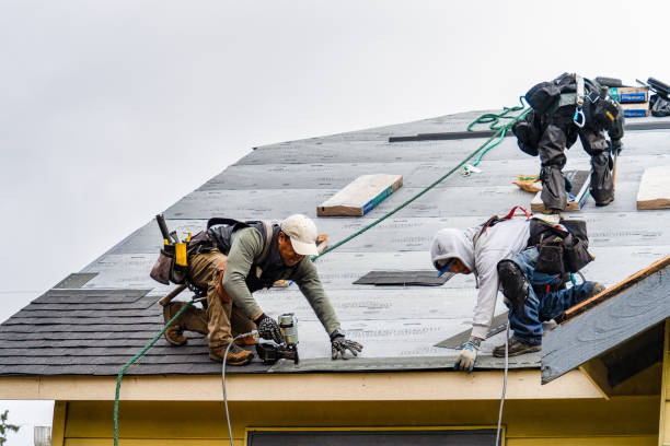 Professional Gutter Installation technician working in Arlington, VA